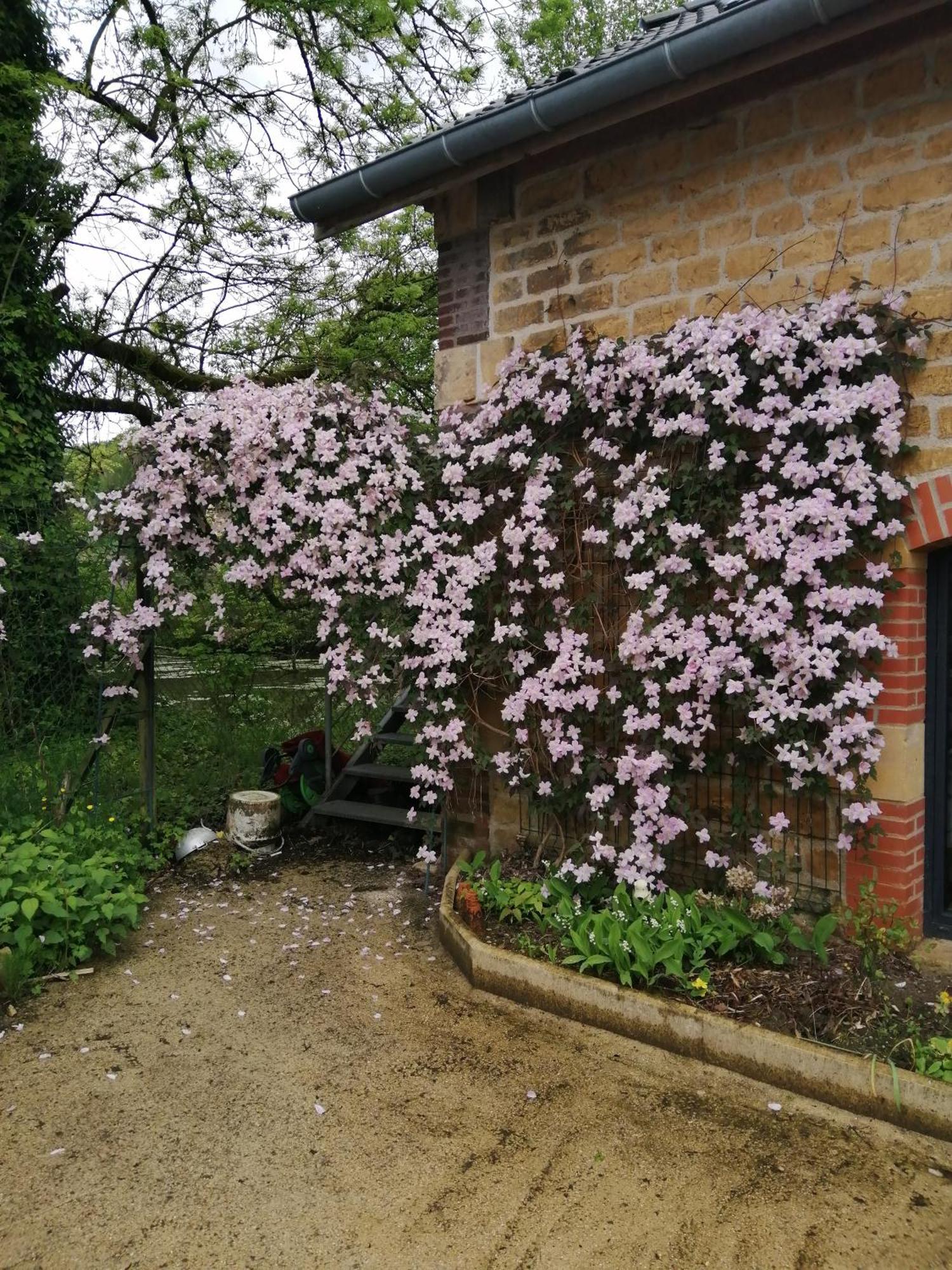 Ô jardin de boutancourt Boutancourt Exterior foto