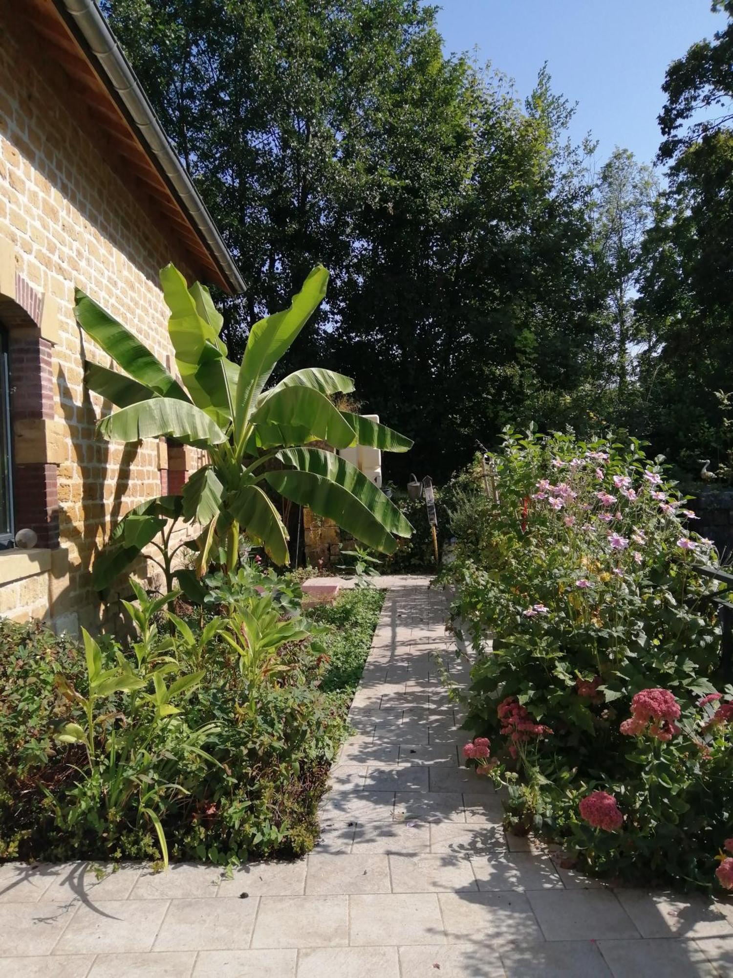 Ô jardin de boutancourt Boutancourt Exterior foto