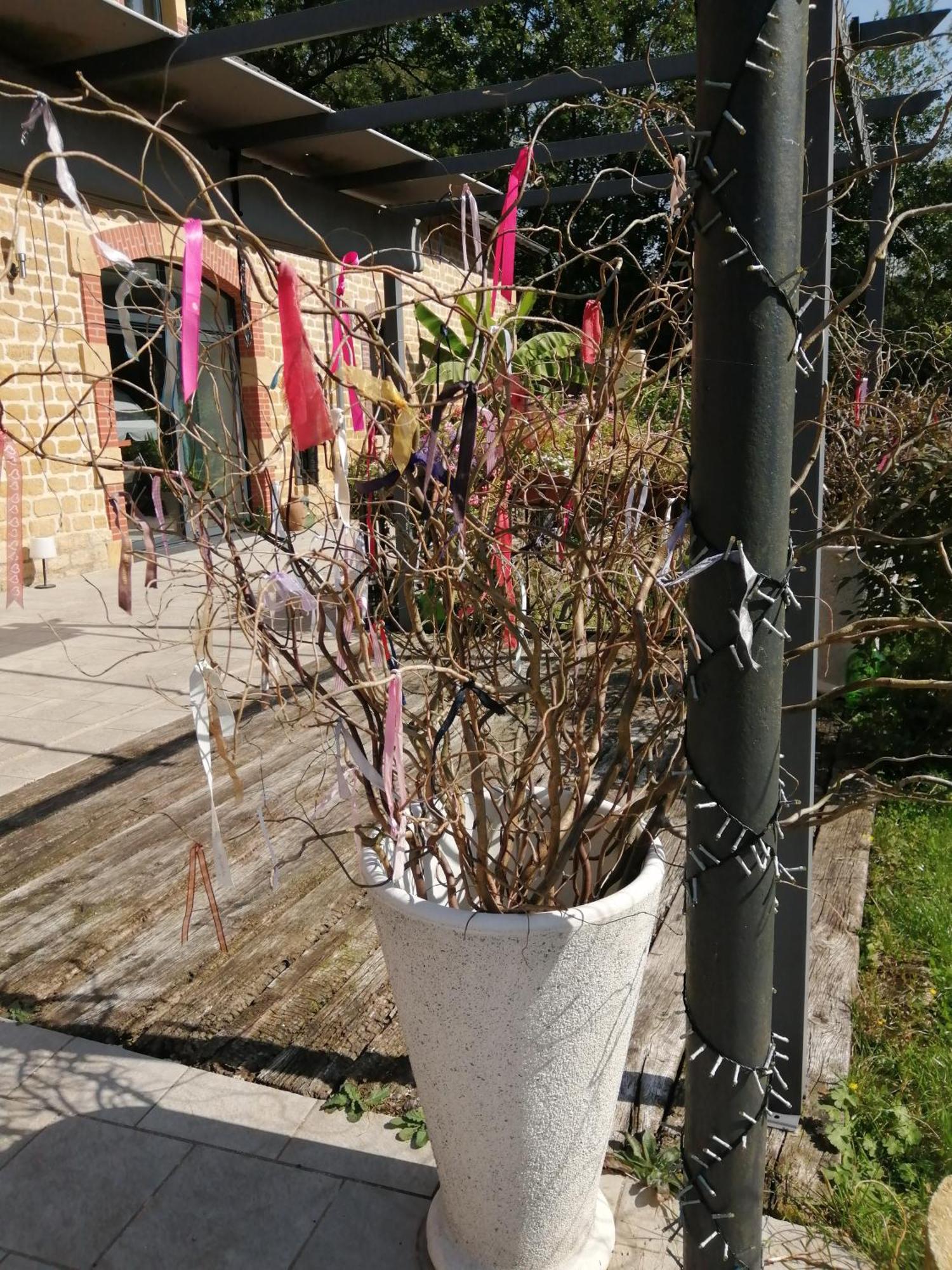 Ô jardin de boutancourt Boutancourt Exterior foto